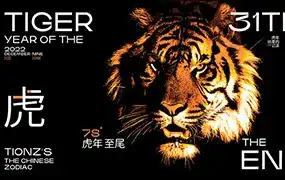 大斌平面设计实用综合班第1期（高清画质无素材）-造集CREASETS