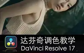 舞光弄影DaVinci Resolve17速成教学大师指南课（画质清晰无素材）-造集CREASETS