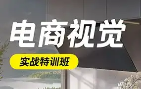 电商视觉商业实战班第50期2024年升级版（高清画质带大部分素材）-造集CREASETS