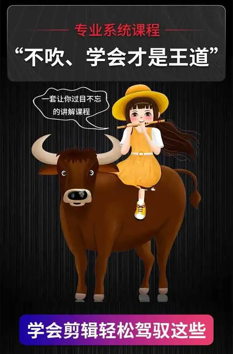 图片[2]-雄彪丨PR 2019入门到精通视频剪辑特训班（画质高清带素材）-造集CREASETS