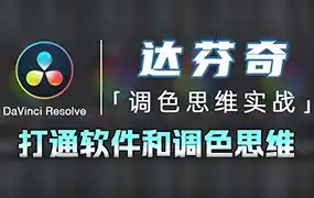 南门录像厅丨达芬奇调色思维 商业项目实操2023年（高清画质无素材）-造集CREASETS