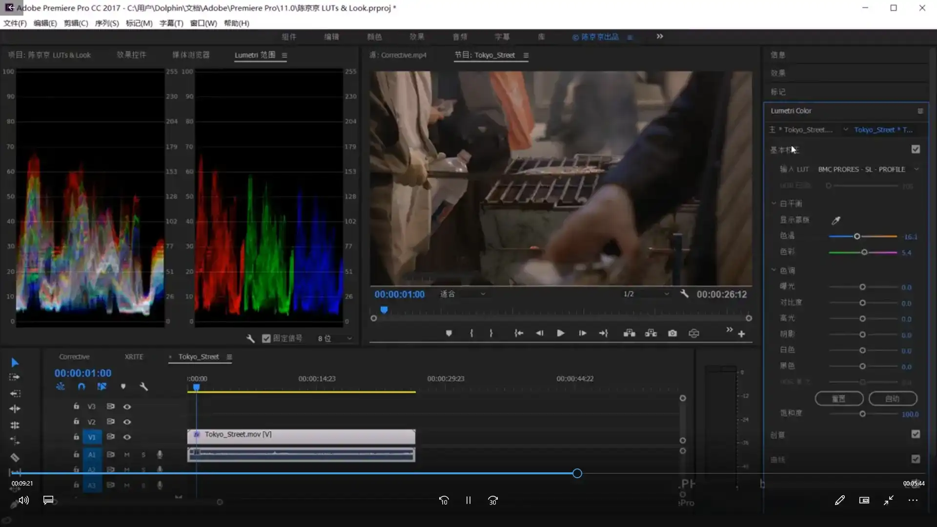 图片[4]-陈京京丨Premiere Pro CC 高级剪辑调色大师教程（画质清晰带素材）-造集CREASETS