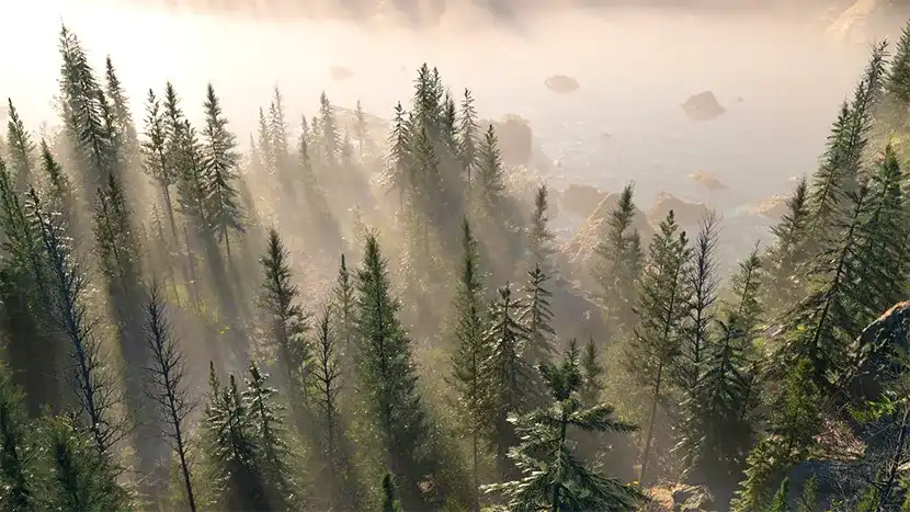 图片[3]-雪山松林V2版C4D OC渲染大场景教程 画质高清带素材-造集CREASETS