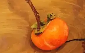 阿妹艺术写实油画系统课水果班（画质清晰无素材）-造集CREASETS