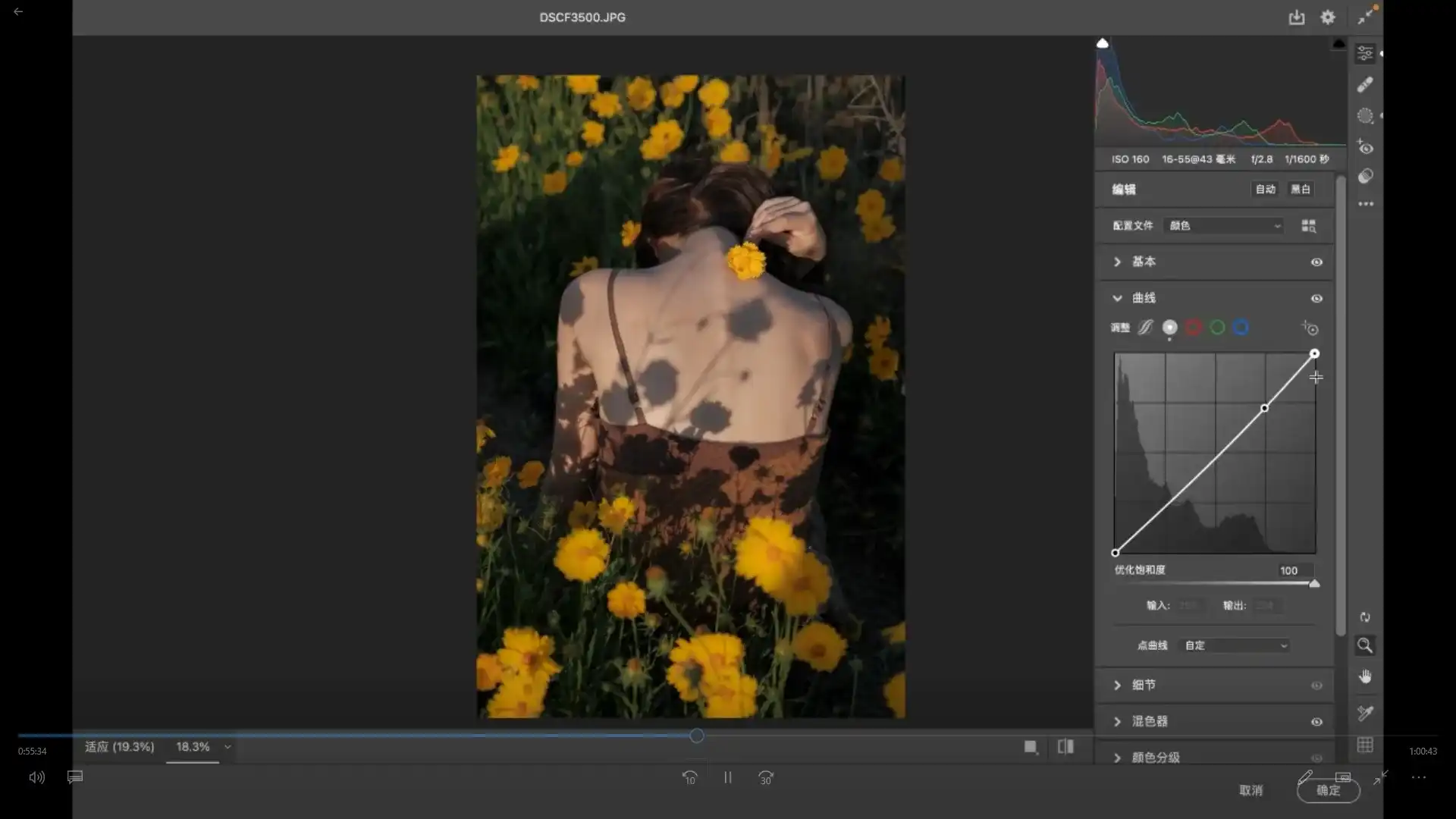 图片[4]-李觅青人像摄影第4期2023年（画质清晰无素材）-造集CREASETS