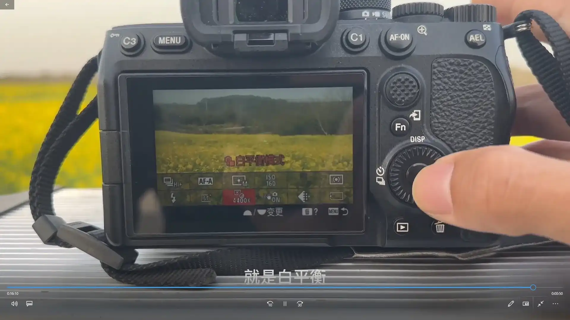 图片[4]-神州摄影课堂各类风格拍摄实战及修图调色实操（高清画质无素材）-造集CREASETS