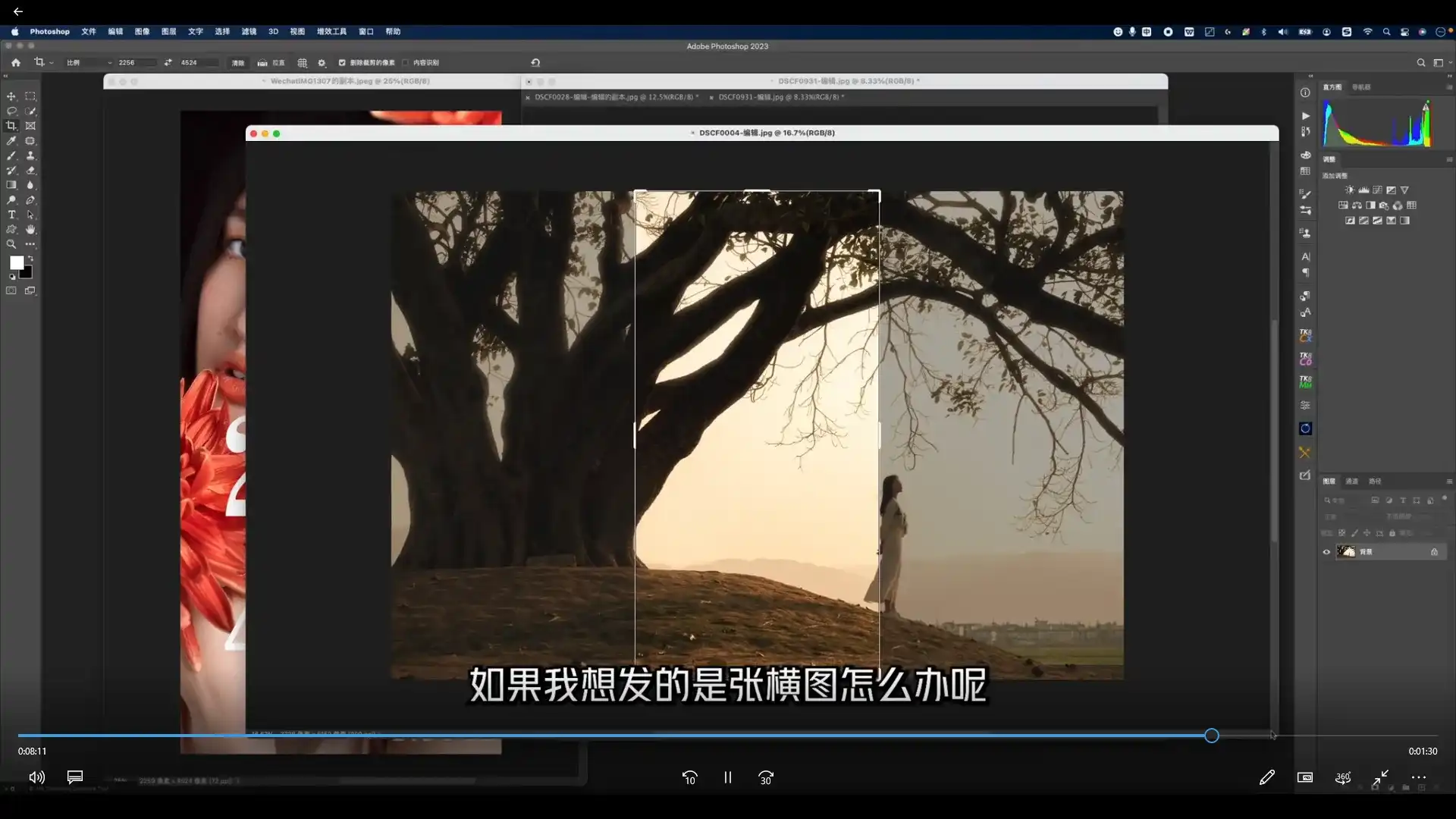图片[2]-张小翼从0到1摄影基本法2023年（高清画质无素材）-造集CREASETS