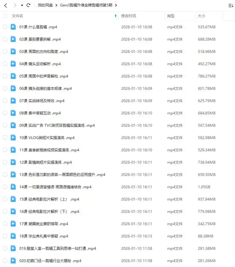 图片[2]-GenJi剪辑升维金牌剪辑师第5期（高清画质无素材）-造集CREASETS